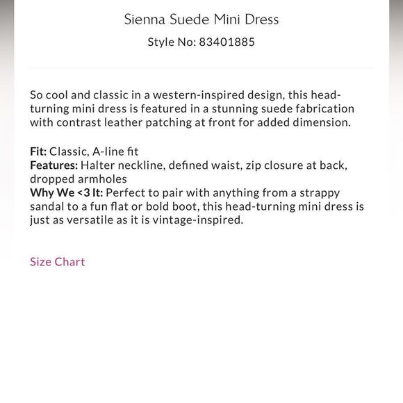 Free People Sienna Suede Mini Dress in Brunette Combo NWOT - Picture 3 of 8